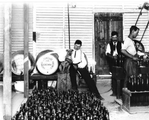 Interior of standard brewery Kanowna, showing beer kegs, bottles of beer, men at work bottling beer. Man seated holding dog.